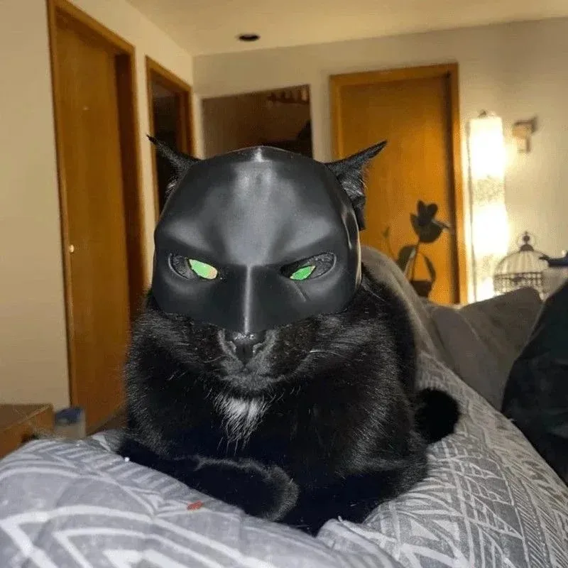 3D Printing Foto - Máscara de Gato Vengador Impresa en