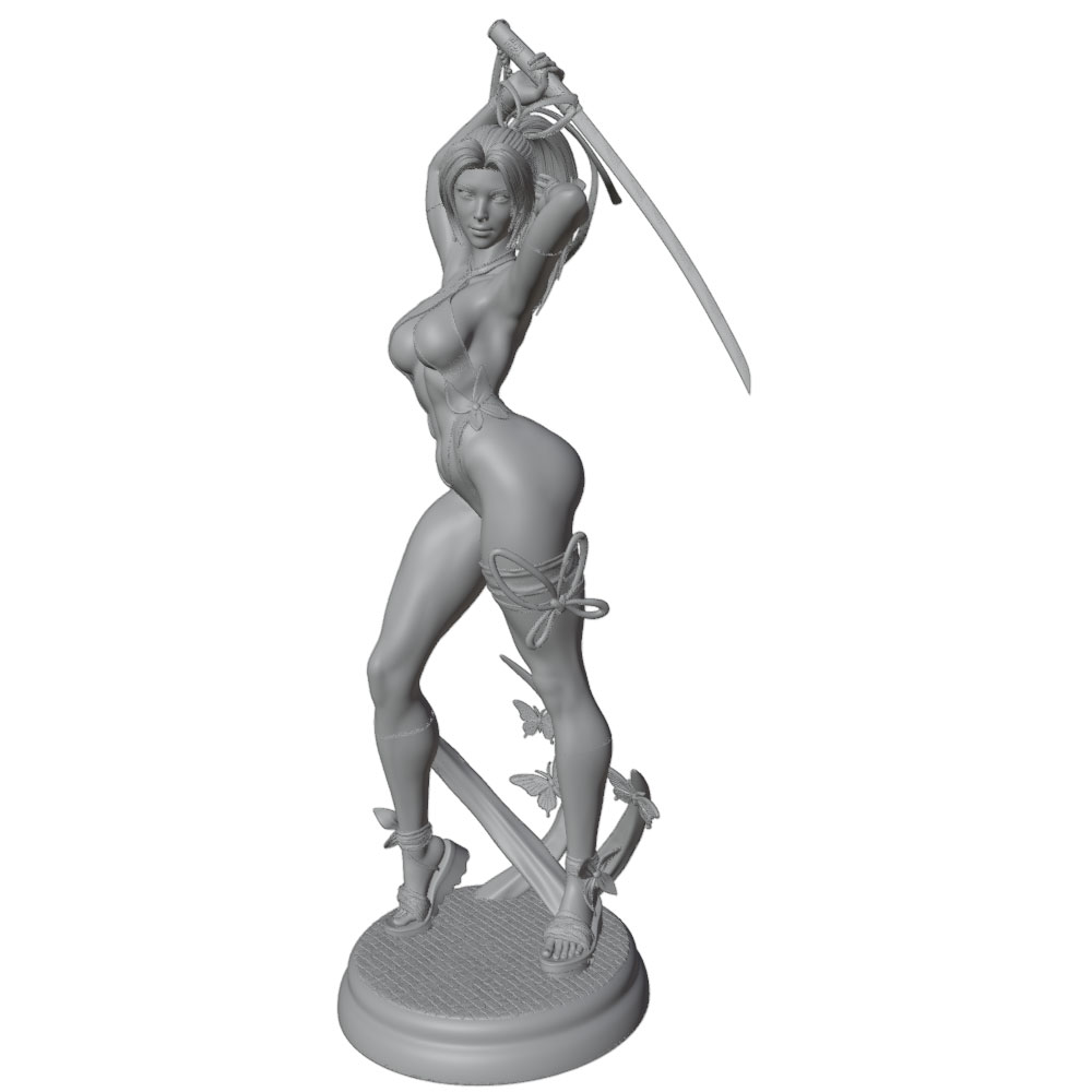 1/24 Mujer 	 Kits de modelos d - 3D Printing Liquid reseña y precio